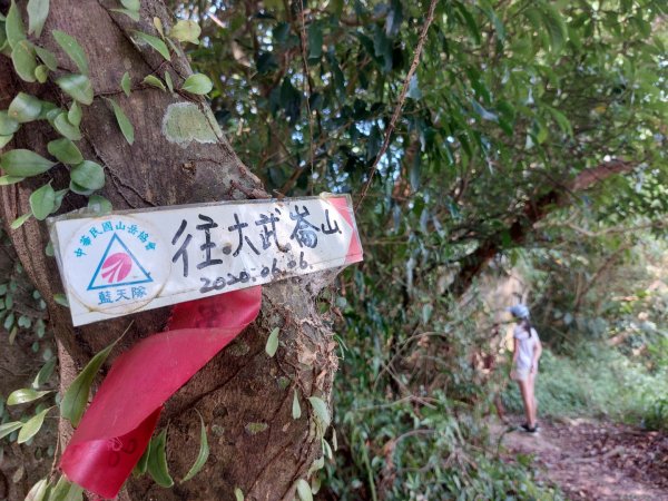 2022.08.20 基隆大武崙山 ，小百岳#3.標高231m1813306