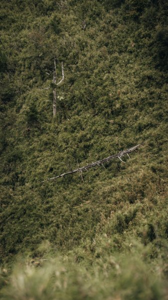 南橫百岳—關山嶺山2383949