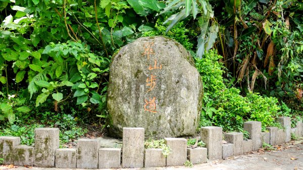 內雙溪自然中心2808682