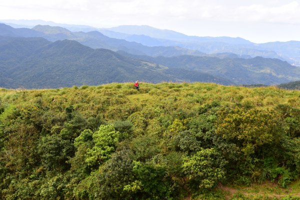 大石璧坑山-五酒桶山-龍岡山-灣坑頭山824289