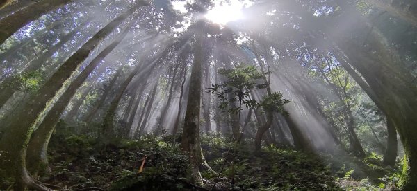 加里山的 360度的雲海661613