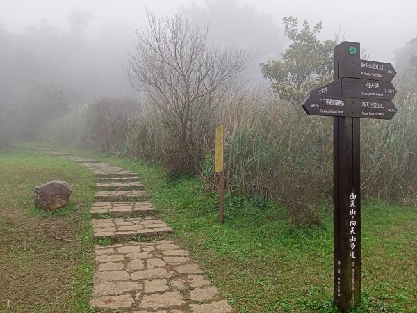 【臺北大縱走 1】二子坪→面天山→清天宮1274586