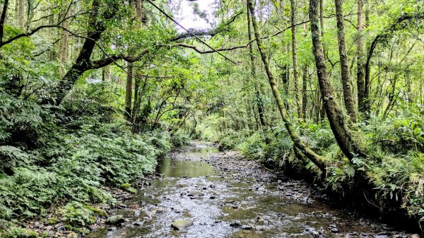 坪溪古道,石空古道2873476