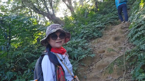 20251216太平山石門山小粗坑山O型+蕃薯藤TINA廚房2972564