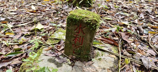 2025/03/16_蓬萊溪護魚步道+萊園坪山2737573