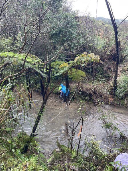 武山坑炭窯2990724