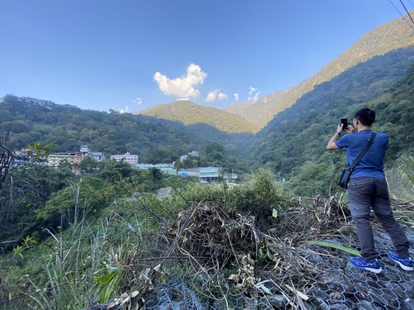 2020-11-28.29 東埔上郡大山下開高山1559139