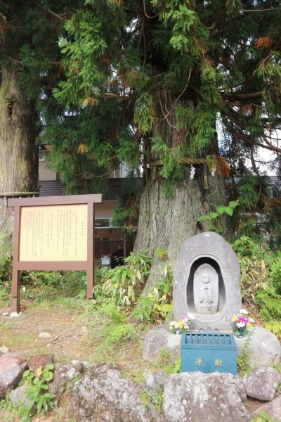 [立山黑部〕一天內七種交通工具。立山車站 美女平 彌陀原  室堂 立山 大觀峰 黑部平 黑部湖 扇沢2304926