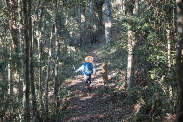 枕頭山古砲台歷史古道O型（含薑母島）2948484