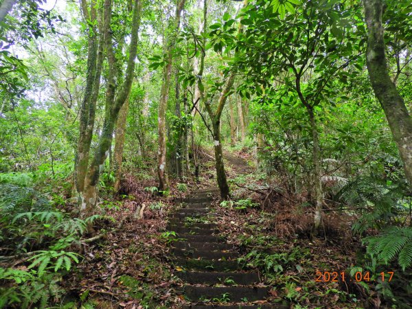 新北 坪林 開眼崙山1352171