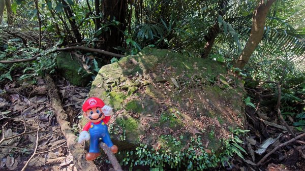 基隆東西天際線縱走(微加強版)2695562