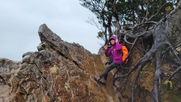 北得拉曼-20204062859835