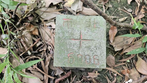 20250924法雨寺步道-鳳梨宅-第八公墓-詹氏宗祠-泉源國小宿舍-東昇路菜園-緣園農場2894223