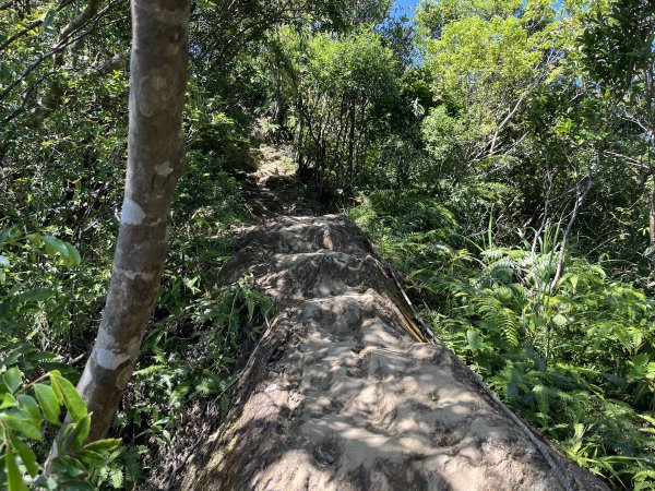 [微笑山線_第九段] 2025_0914 二格山系_天王峰2889568