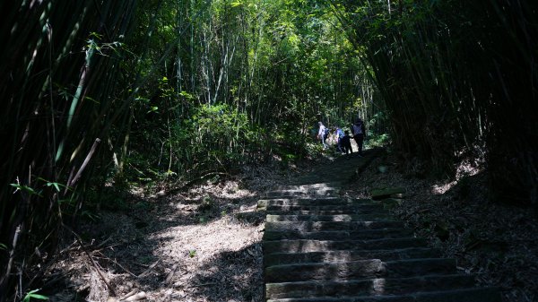 觀音山、尖山(占山) O型1336579