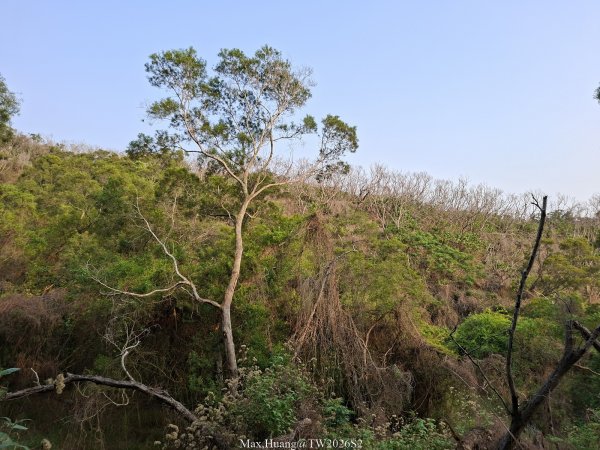 《台中》綠色隧道｜大肚環保公園登山步道O繞202604183038538