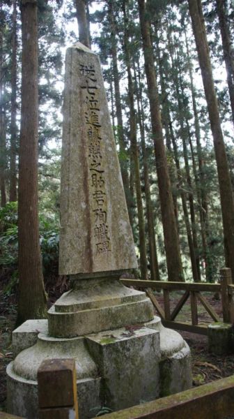 阿里山觀日出  信義賞櫻梅273856