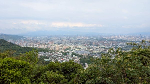 114.09.14青龍嶺-秋壇山-鎮遠山-大青坑崙-三角埔頂山之旅(二)2884577