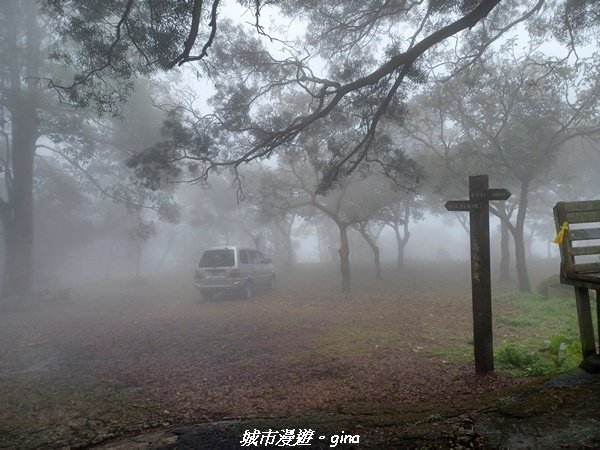 【台南。 南化】迷霧山徑。 小百岳集起來。 編號70小百岳~刣牛湖山登山步道1610469