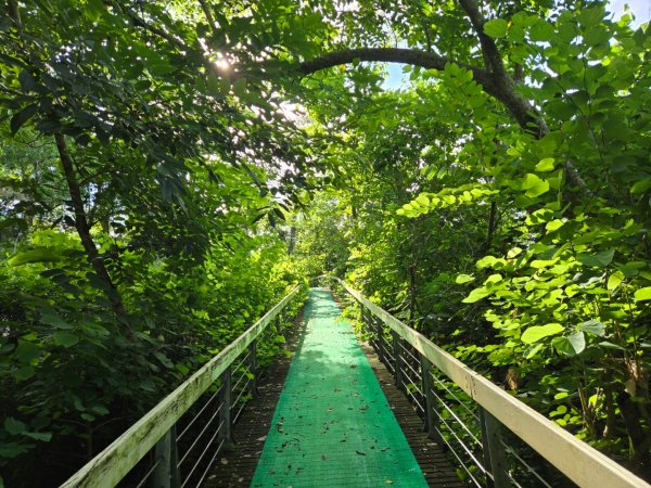 虎頭埤環湖步道（新化虎頭山）2890920