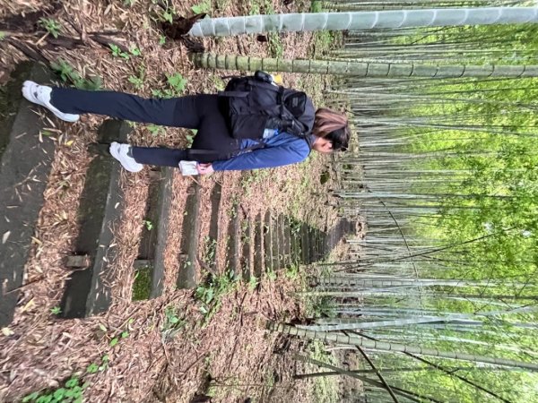 雲林小百岳-石壁山2850057