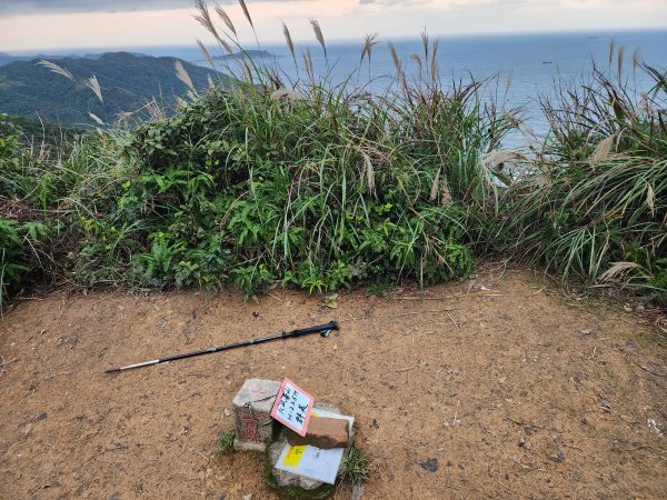 20241229界寮縱走下汐止2721689