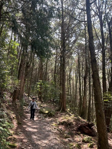 2024/3/23稍來山2738284