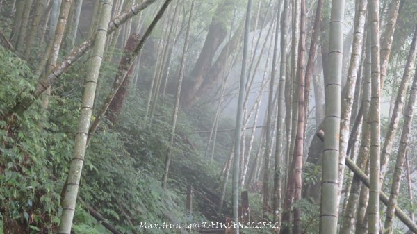 《雲林》望好望角｜石壁山嘉南雲峰步道(中側登山口）202506072805483