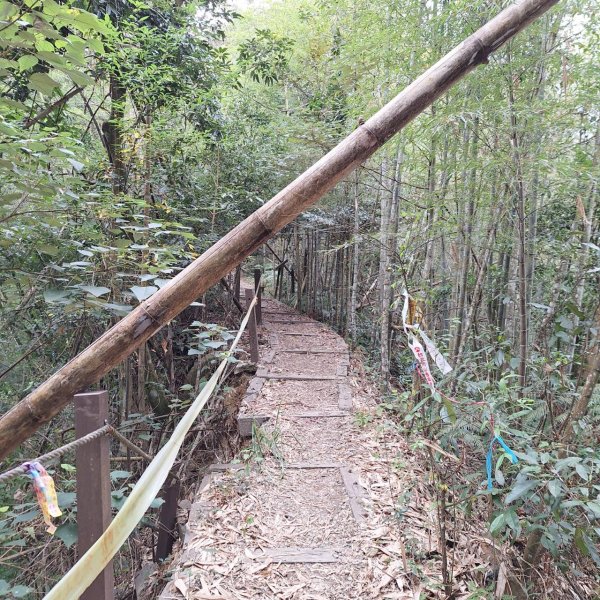 【小百岳52】後尖山完成!2705863