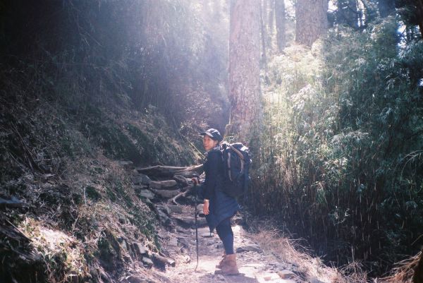 玉山西峰/玉山主峰169948