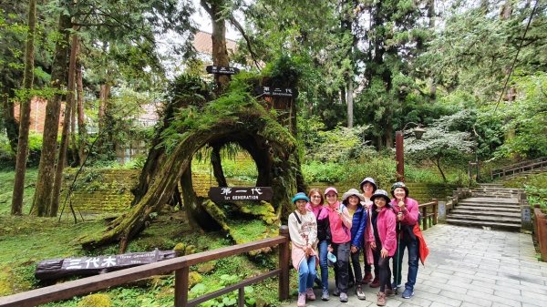 阿里山神木園區1497380