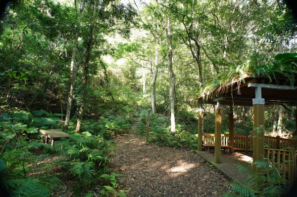 新竹 尖石 芝生毛臺山、虎禮山2903142