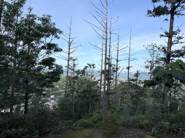 埔里登蜈蚣崙山、板仔寮山 2025.6.182815487