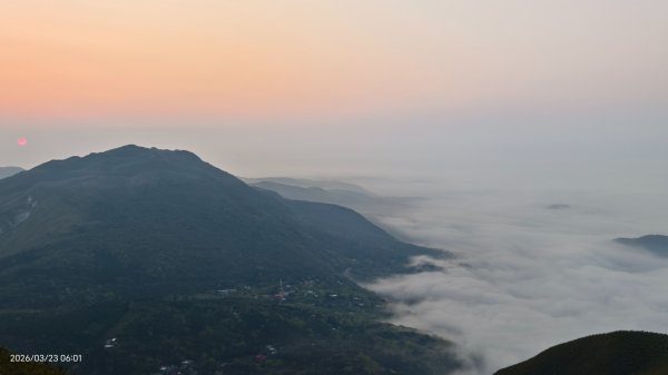 #大屯山 #日出 #雲海 #琉璃光 #橘咖啡 #吉野櫻 3/233020517