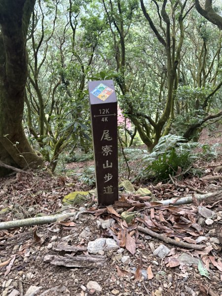 20251227尾寮山登山步道2970501