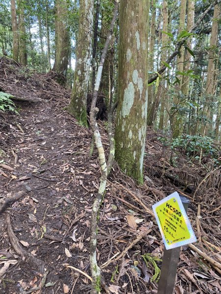 20250713-Ep.09油羅山步道-2025森遊竹縣皮皮獅探險隊2851893