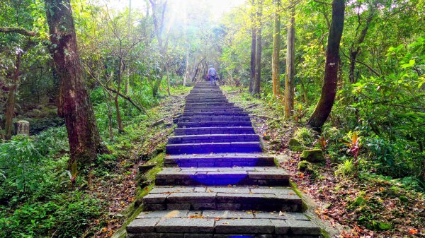 你若來汐止2961400