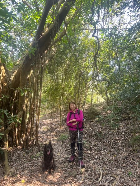 高雄美濃月光山2734926