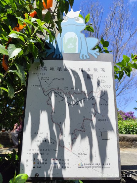 翠山步道、大崙頭尾山親山步道【臺北健走趣】2874337