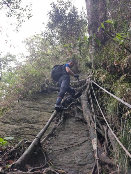 20230603 #65小百岳🌧️😭🌧️😭 三腳南山2171449