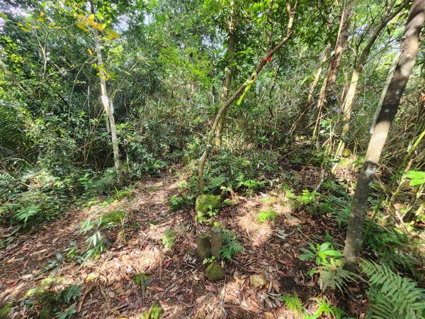 20251214石牛山柑坪山新柑坪山牛背岩2972745