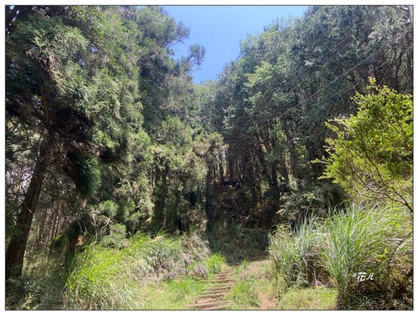 大塔山 (小百岳最高峰)2773184