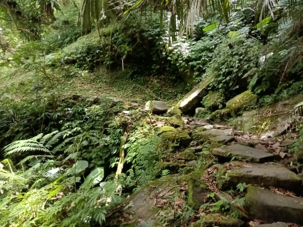 雙溪區大湖尾古道+灣潭古道O型2874781