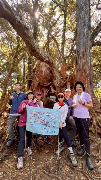 🌈11/9(日)高島縱走~高台山連走島田山山徑✨FB：熊熊趴爬走🌈2932494