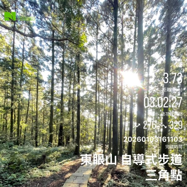 東眼山 自導式步道 三角點2975878