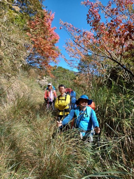 小關山林道上小關山1550030