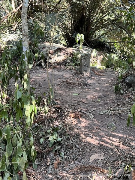 雪山坑步道（巨人之手）2986482