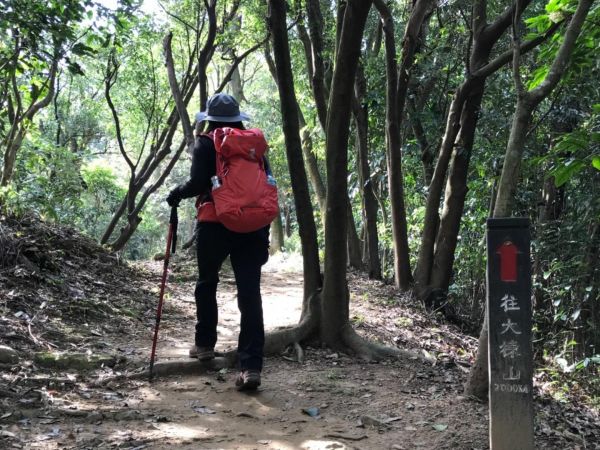 漫步樹林大棟山231802