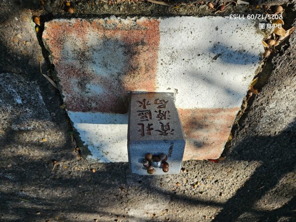 20251209新竹寶二水庫環湖O走+峨嵋湖2969277