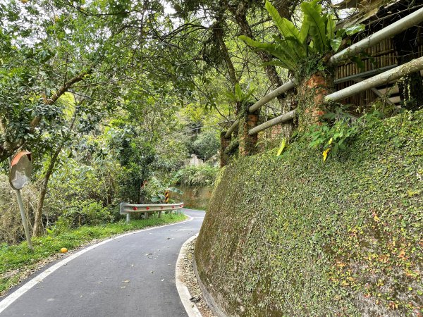 原始密林-向天湖山與光天高山11103151643715